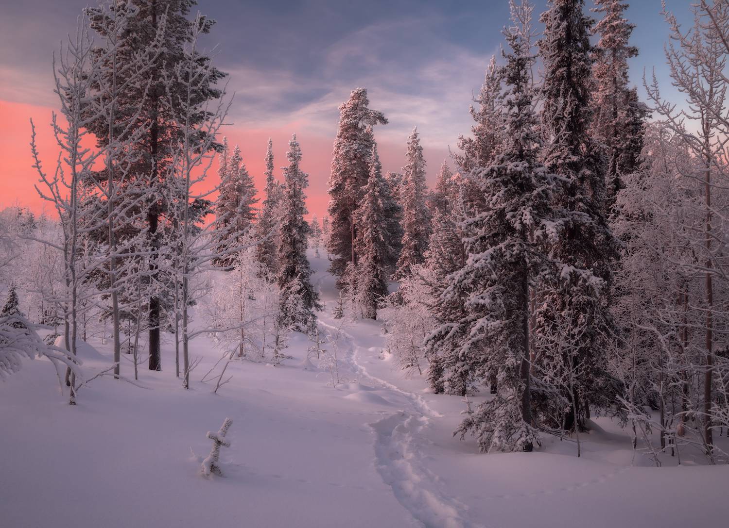 , Истомин Виталий