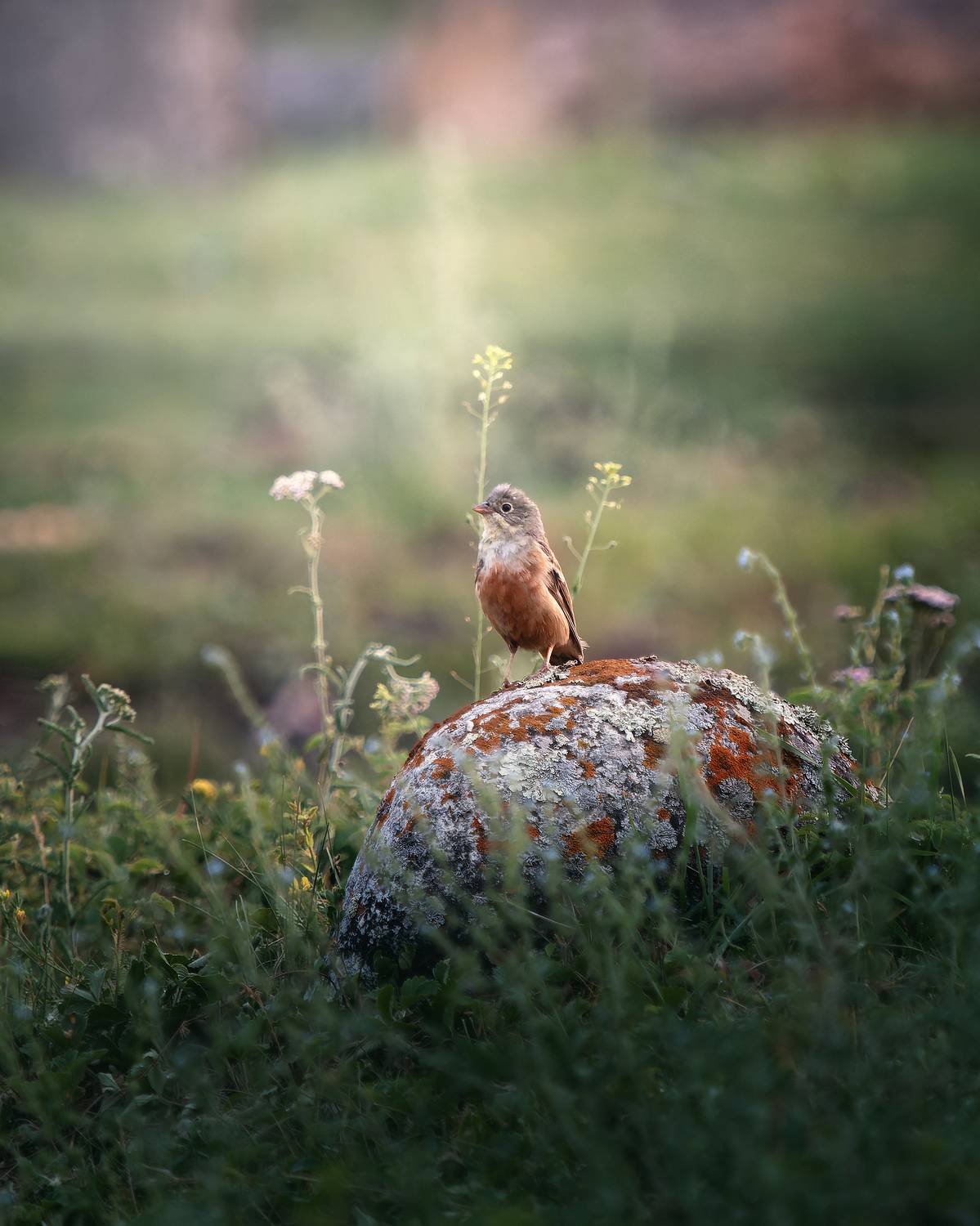 , Мозжухин Максим