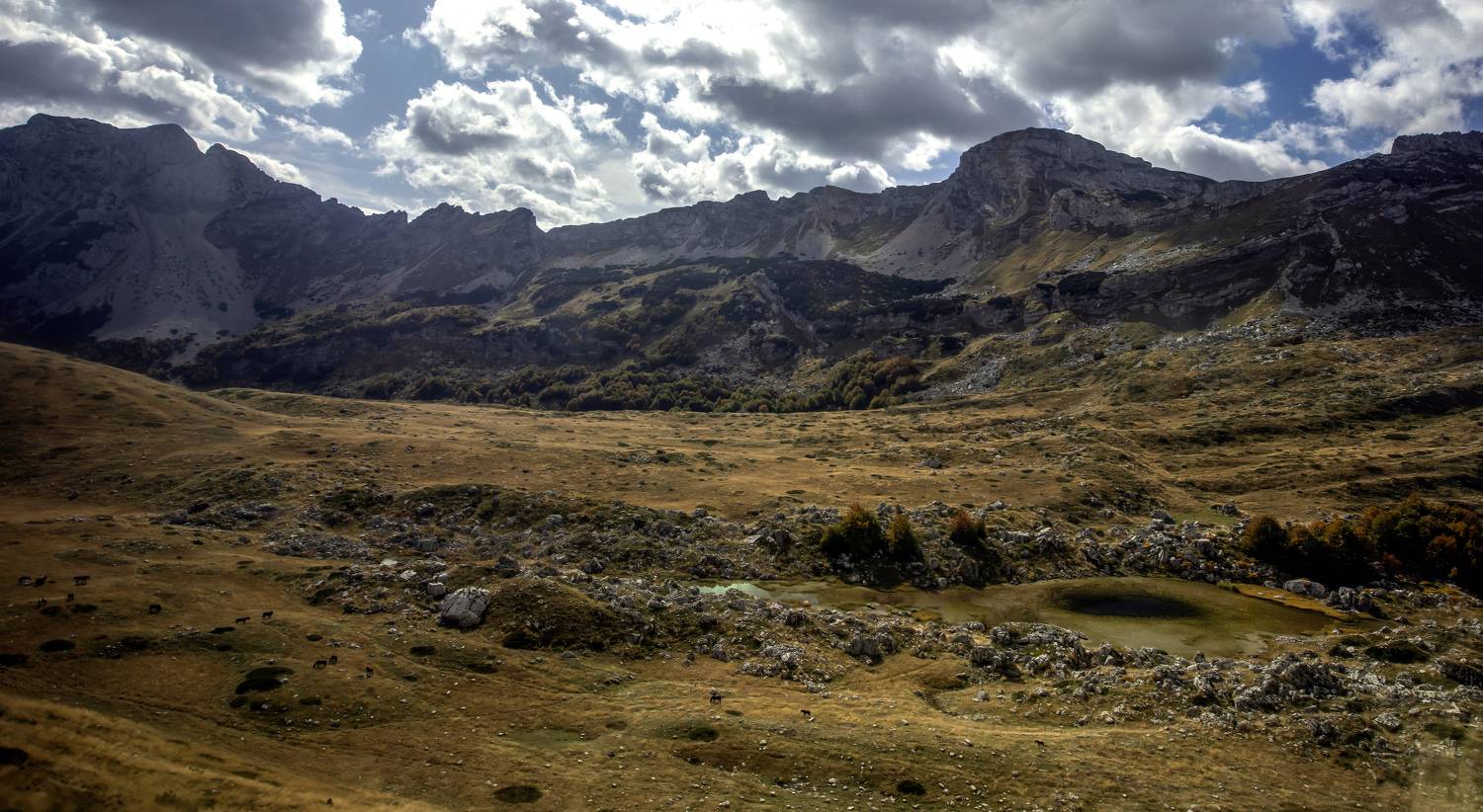 монтенегро, Валентина Булкина