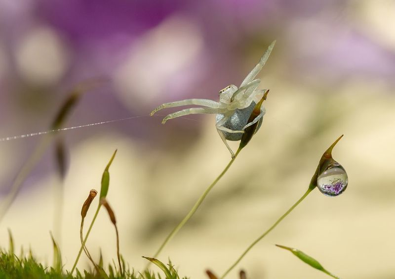 Тихо..! Кажется клюёт! фото превью