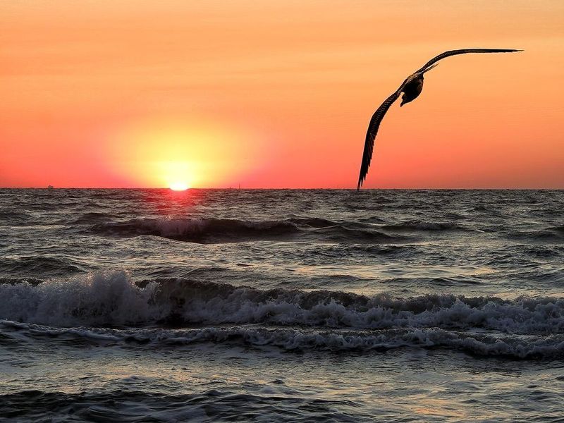 Рассвет фото превью