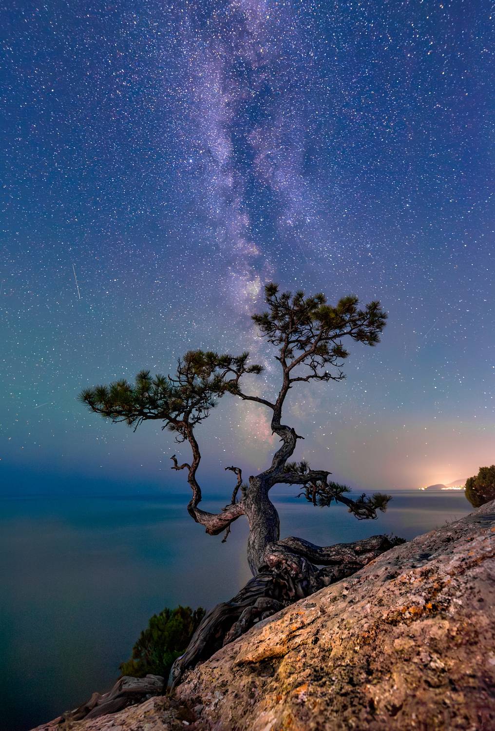 , Дарья Васильева