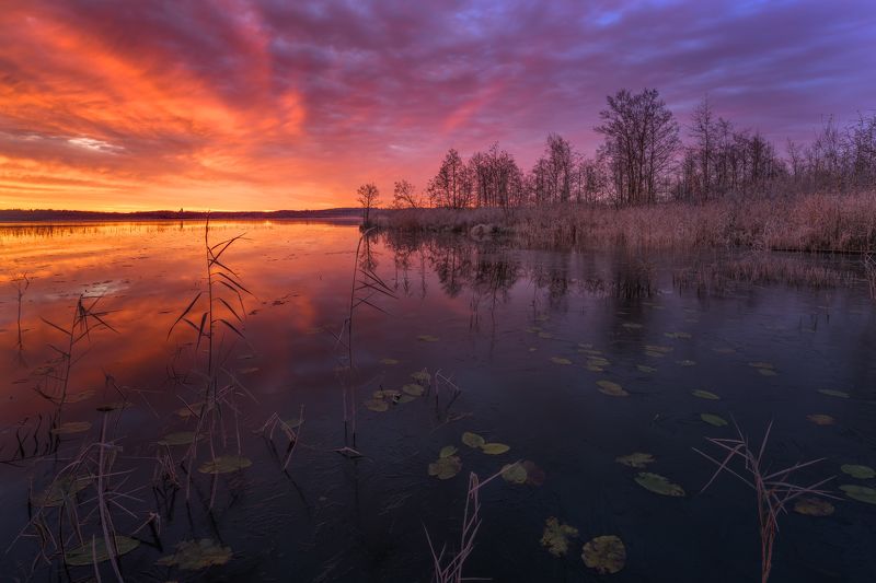 Утро на озере... фото превью