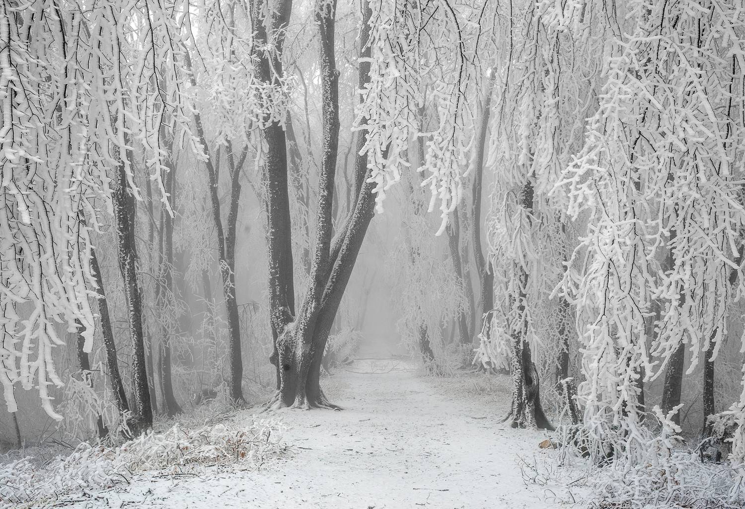 кизиловка, кабардино-балкария, Хасан Журтов