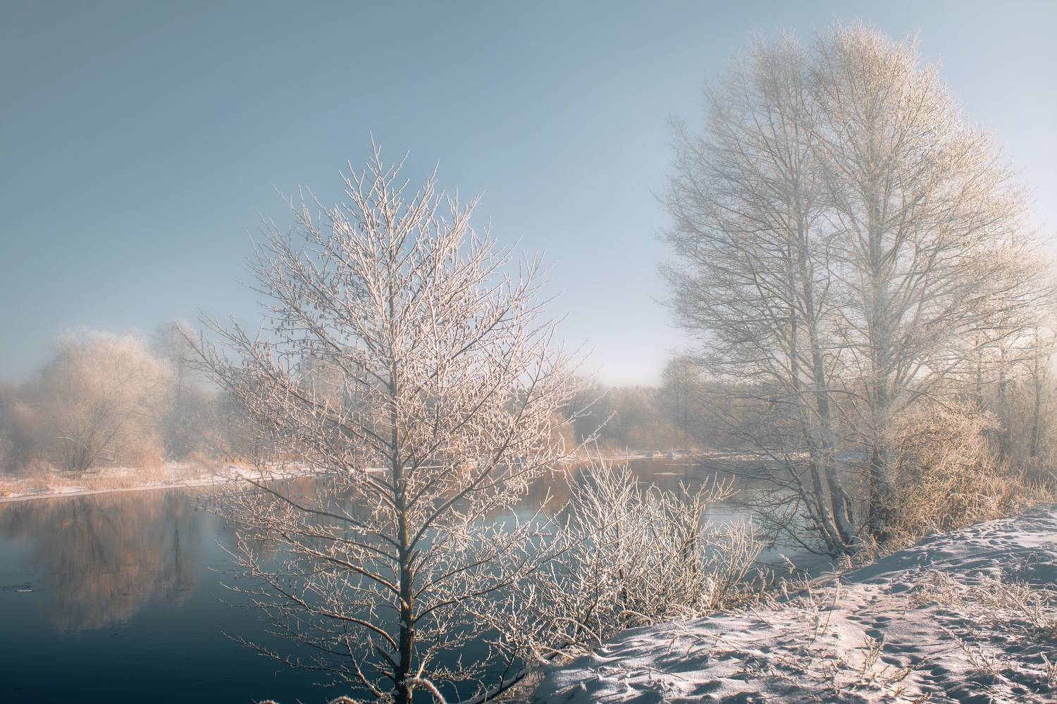 , Шимаковский Юрий