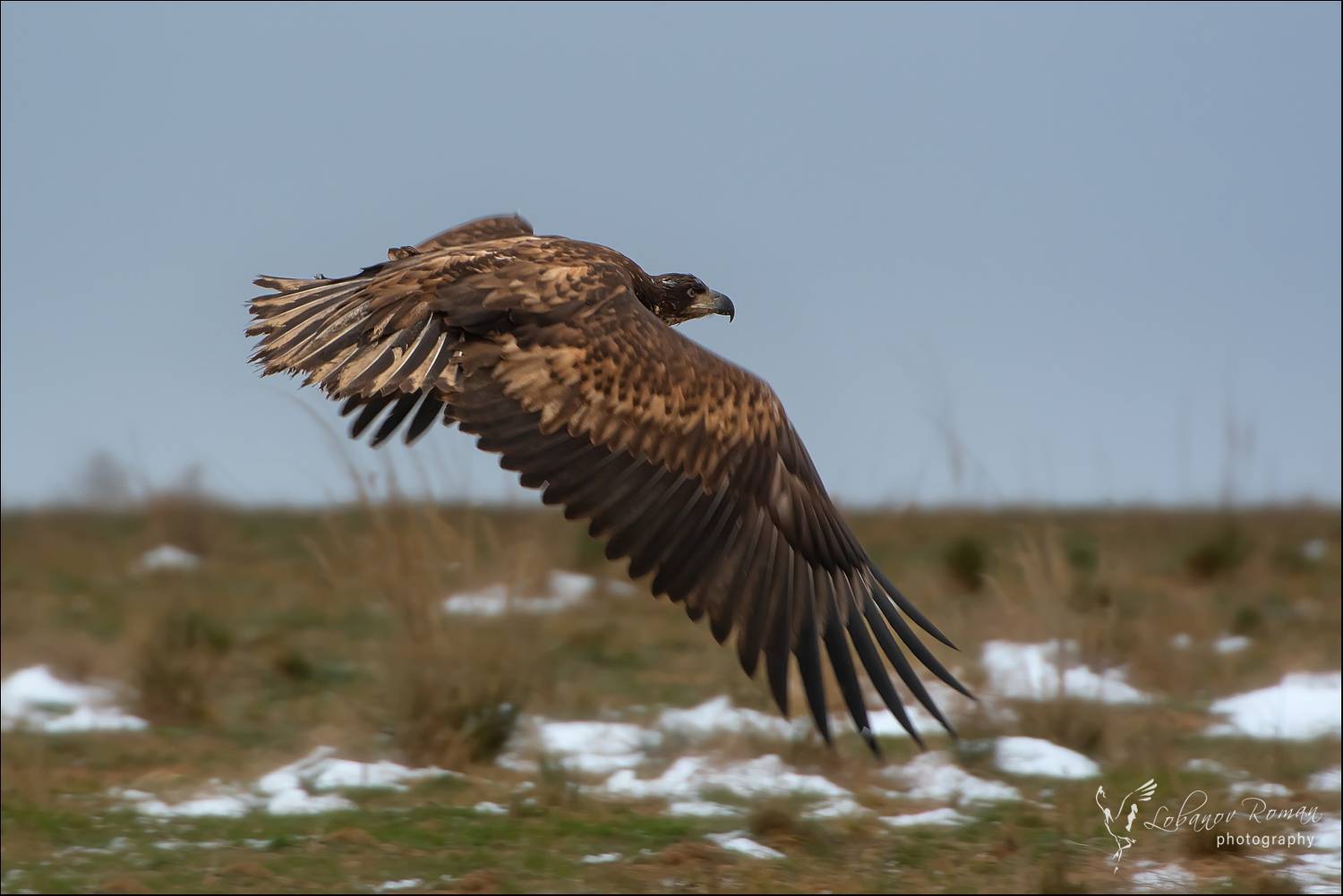, Лобанов Роман