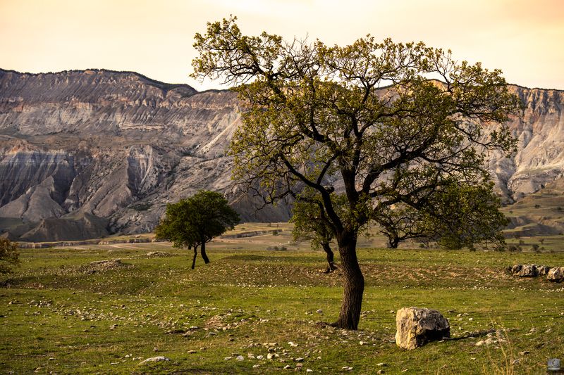 дагестан Дагестан фото превью