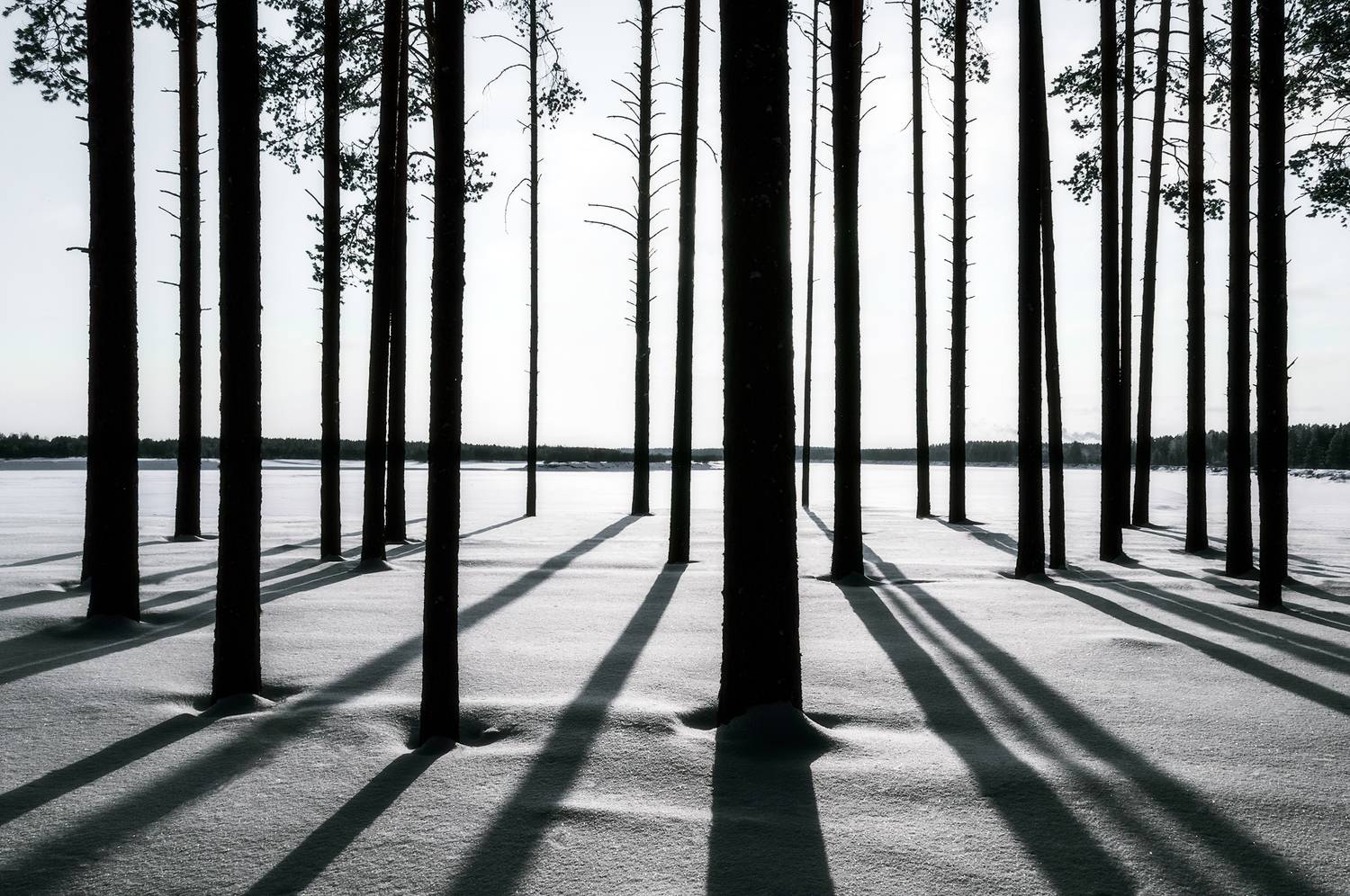 пейзаж, природа, зима, снег, лес, минимализм, республика коми, Mysov Ivan