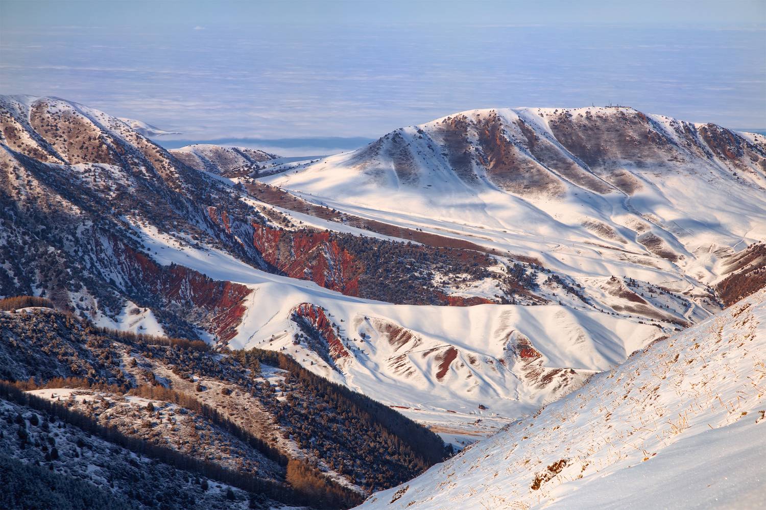 кыргызстан, урочище чункурчак, Элина Магалимова