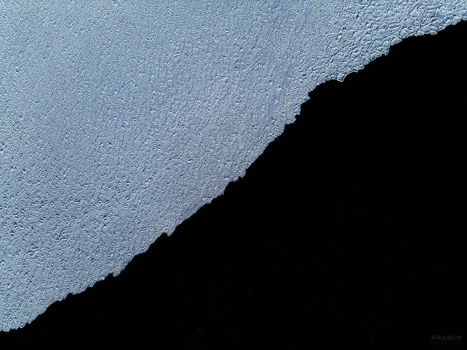 , Константин Шамин