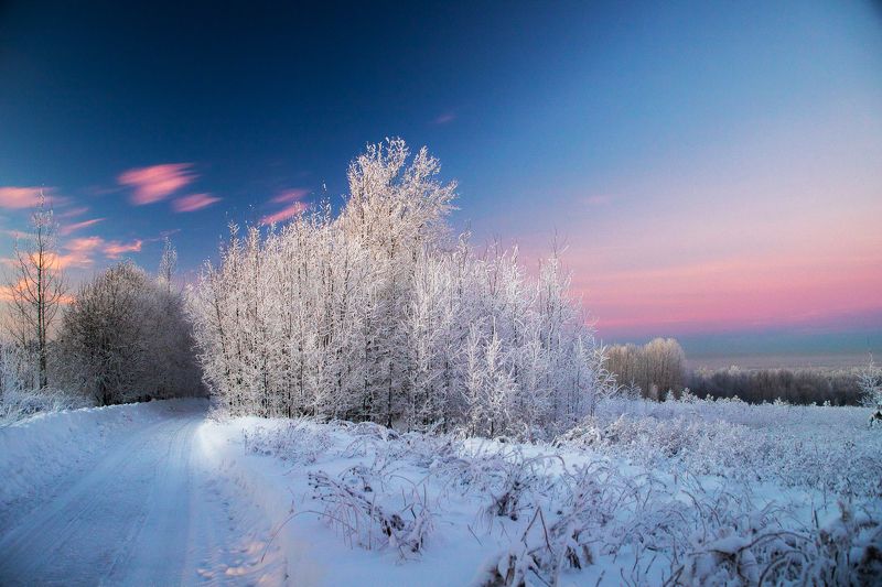 дорога, вечер, закат, холодно, холод, зима, снег, поле, лес, деревья, трава, небо, облака, иней Вечерняя дорога фото превью