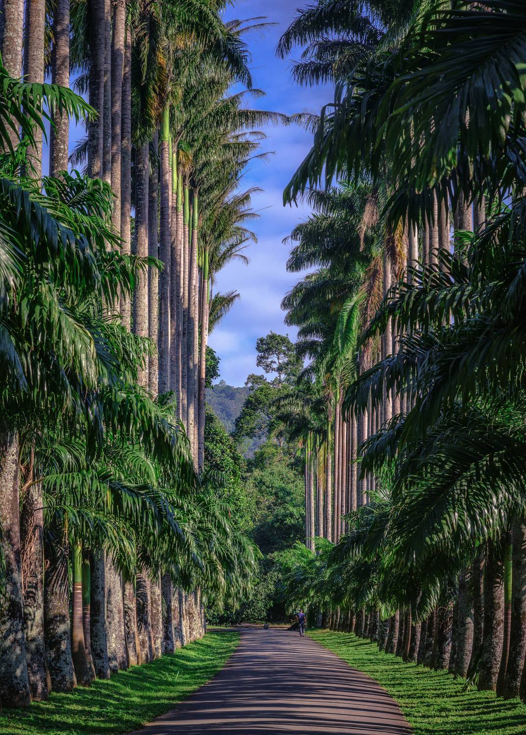 , Васильев Андрей