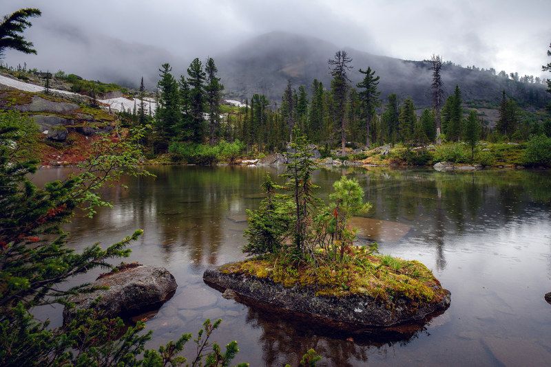 дождливый денёк фото превью