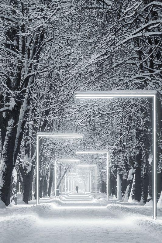 парк Северное Тушино, снег, зима, Москва, иллюминация, фонари, winter, moscow После снегопада фото превью