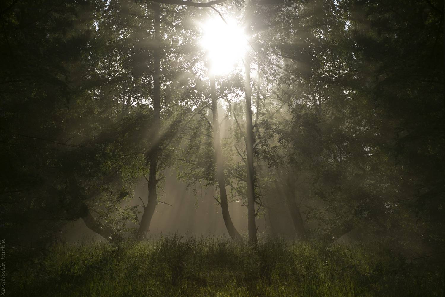 , Константин Буркин