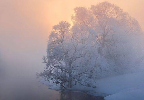 Утренний свет