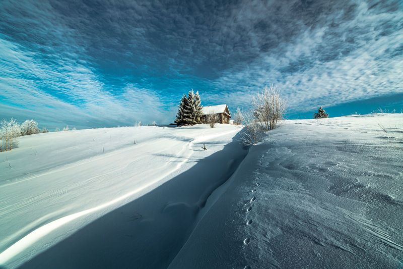 По волчьему следу фото превью