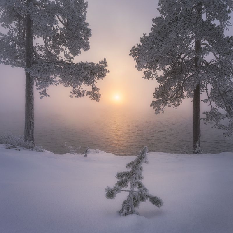 Провожая солнце фото превью