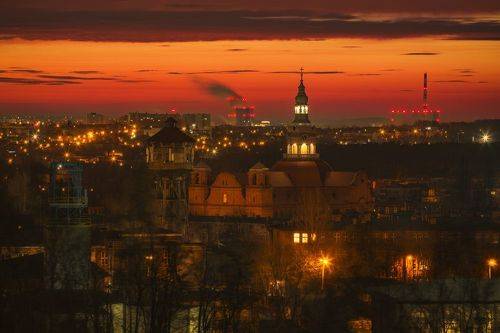 The view from my window 17.02.2024