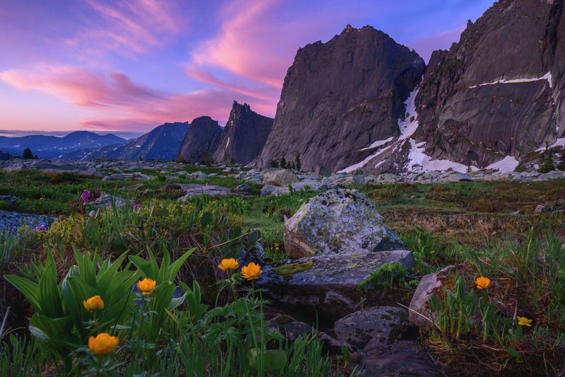 жарки у ручья фото превью