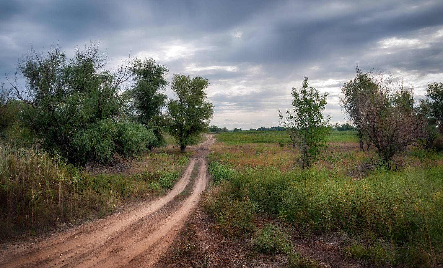 степь, на острове, Сергей Аникин