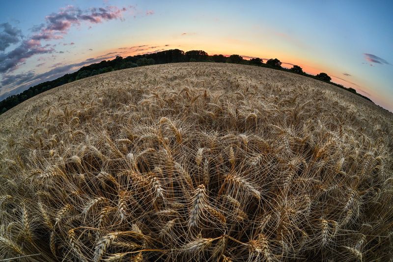 nikon, landscape, fisheye, sunset, nature,7artisans  фото превью