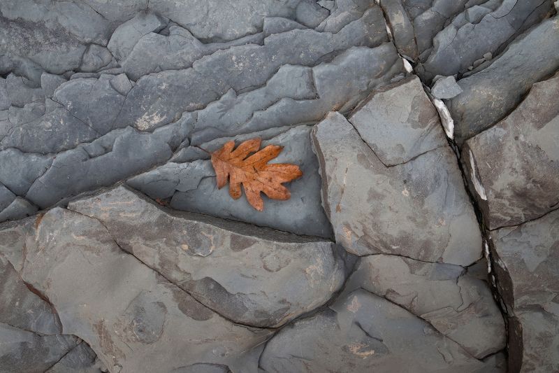 ... фото превью