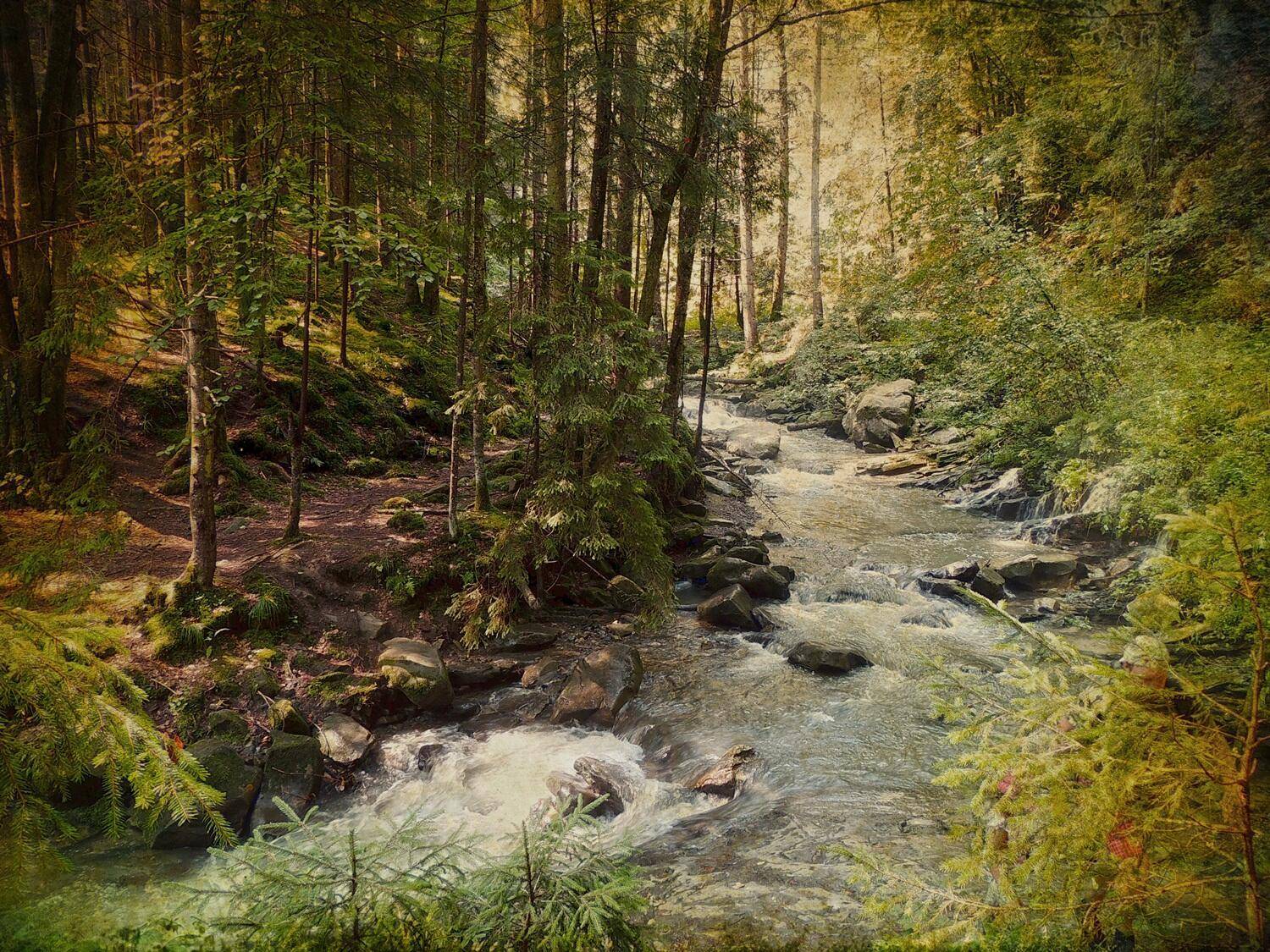 , Савоцкий Роман