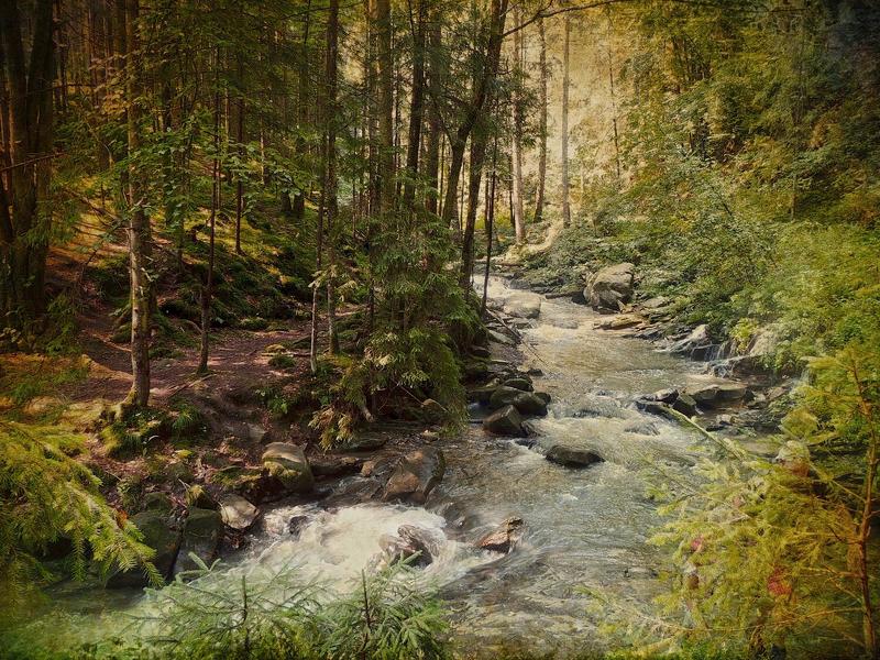 Карпаты фото превью