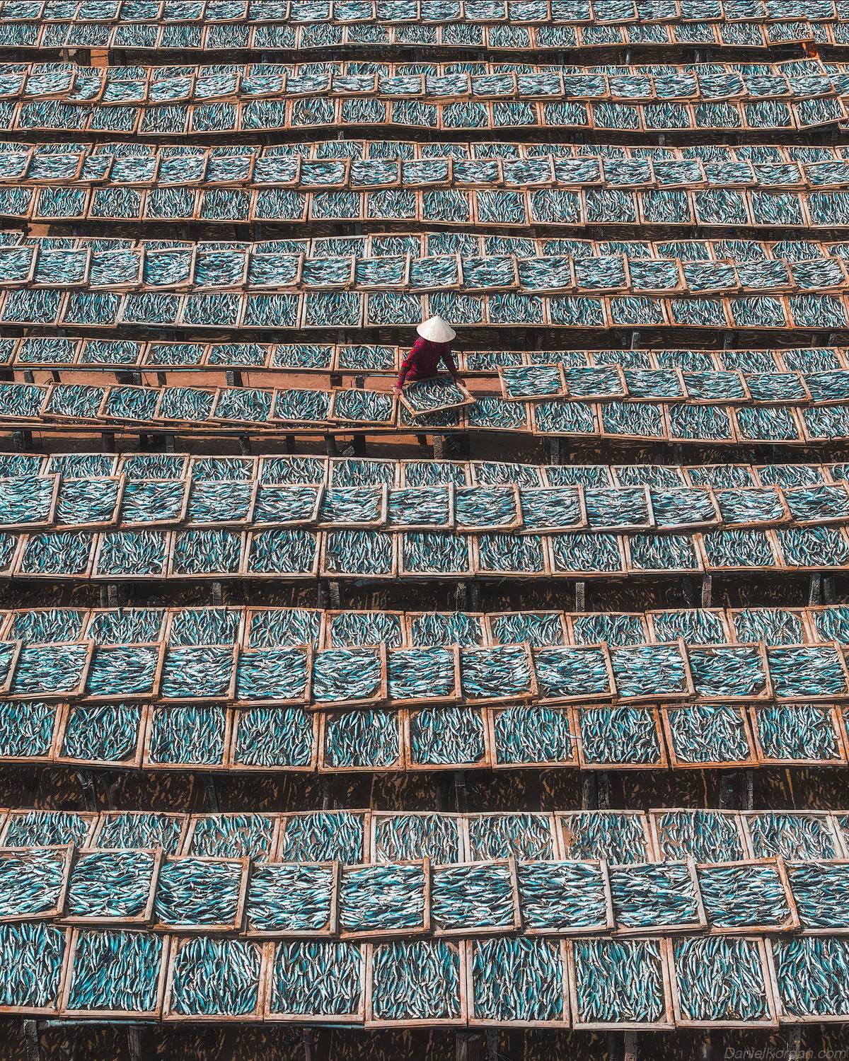 , Даниил Коржонов