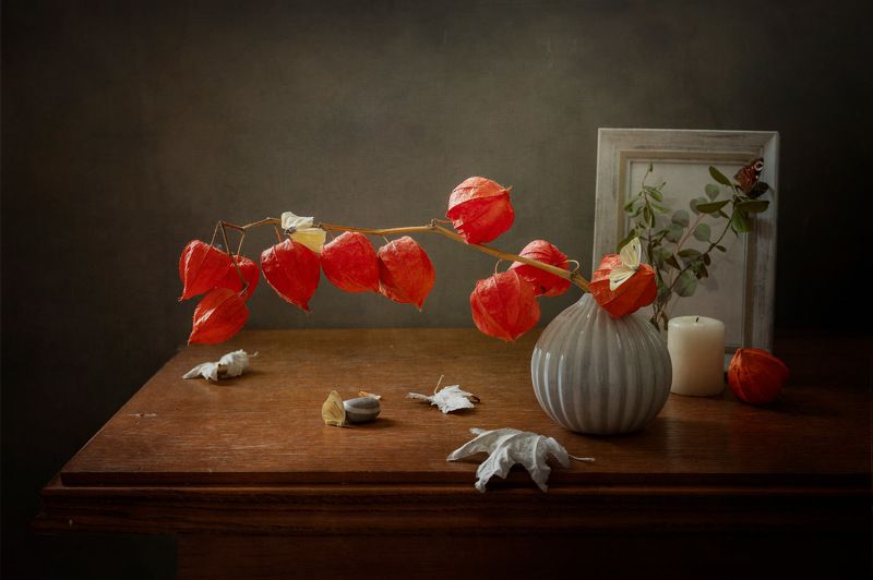 Натюрморт с физалисом фото превью