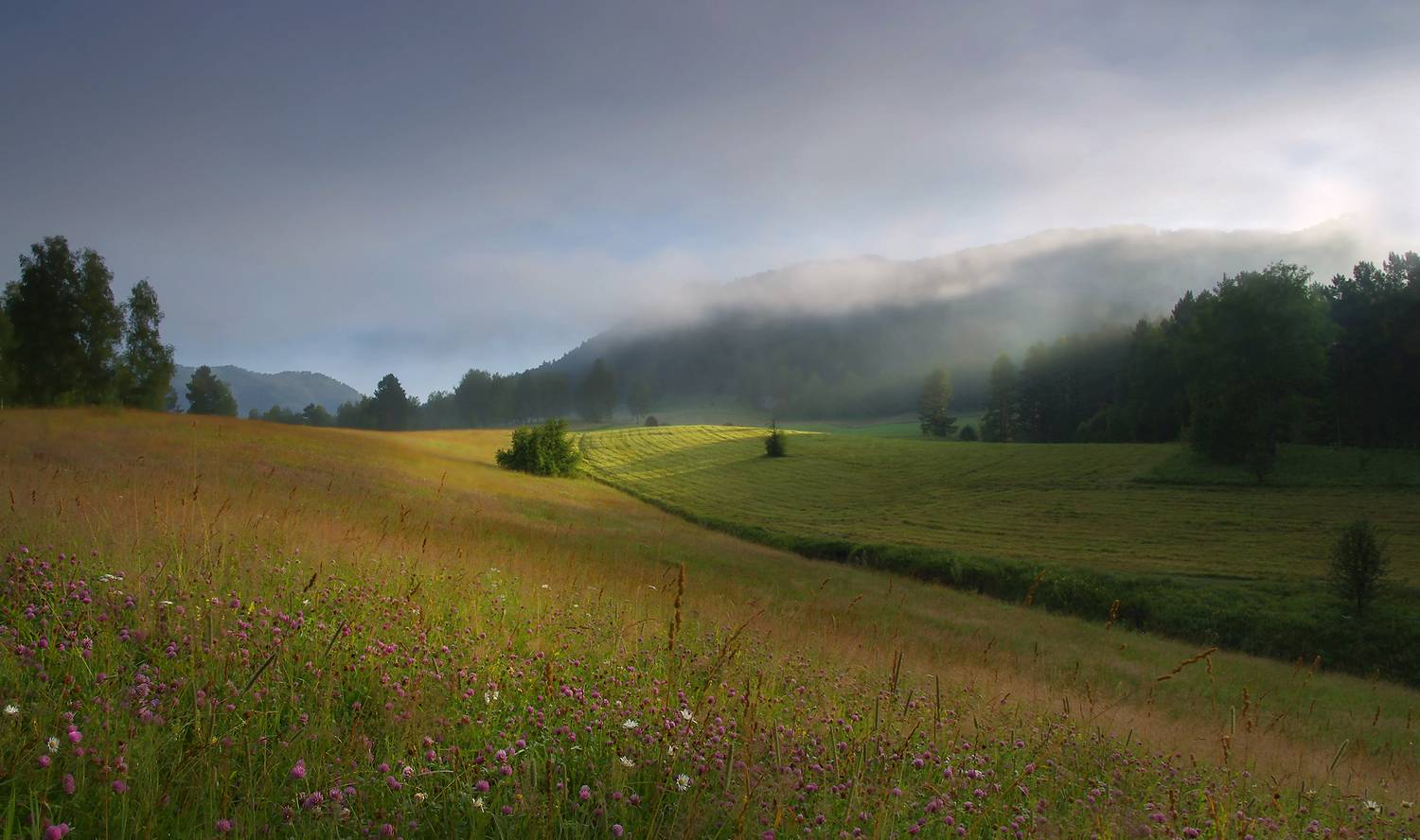 лето, утро, рассвет, горы, туман, свет, луг, Чичкин Валерий