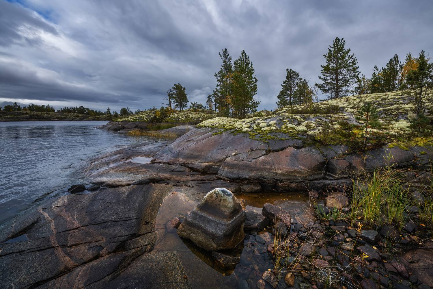 , Максим Евдокимов