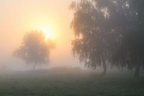 Лето в своем великолепии