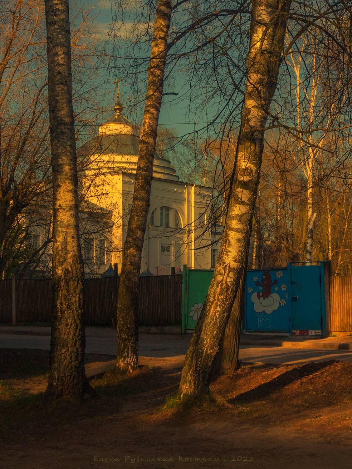 кострома, Елена Рубинская