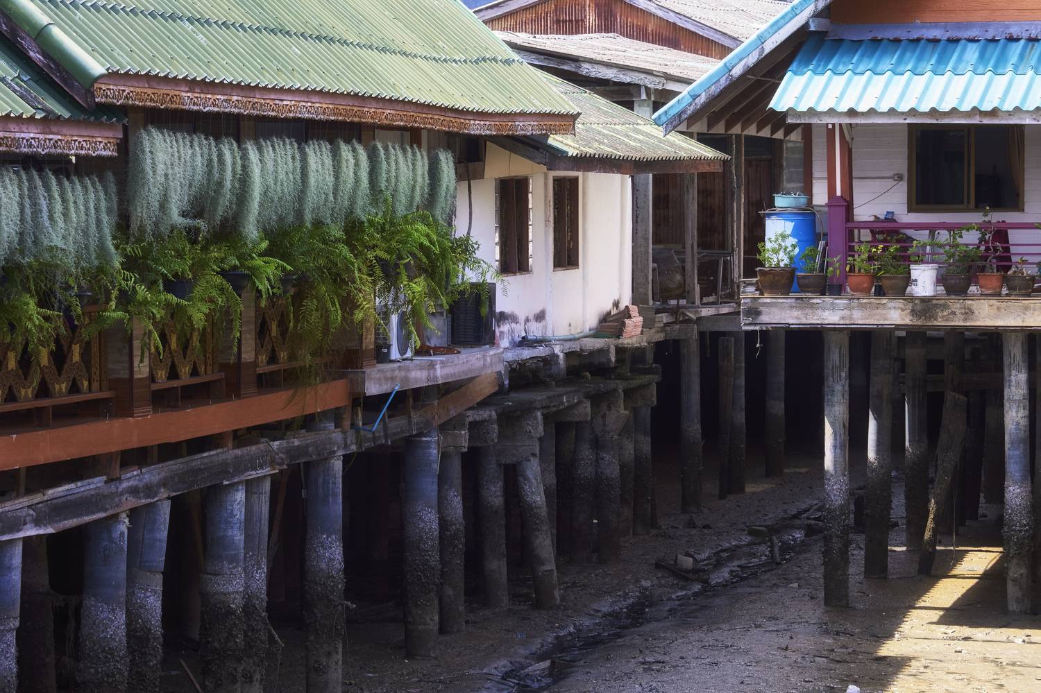 , Байбородин Михаил