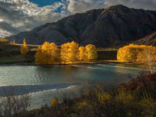 Осенний свет