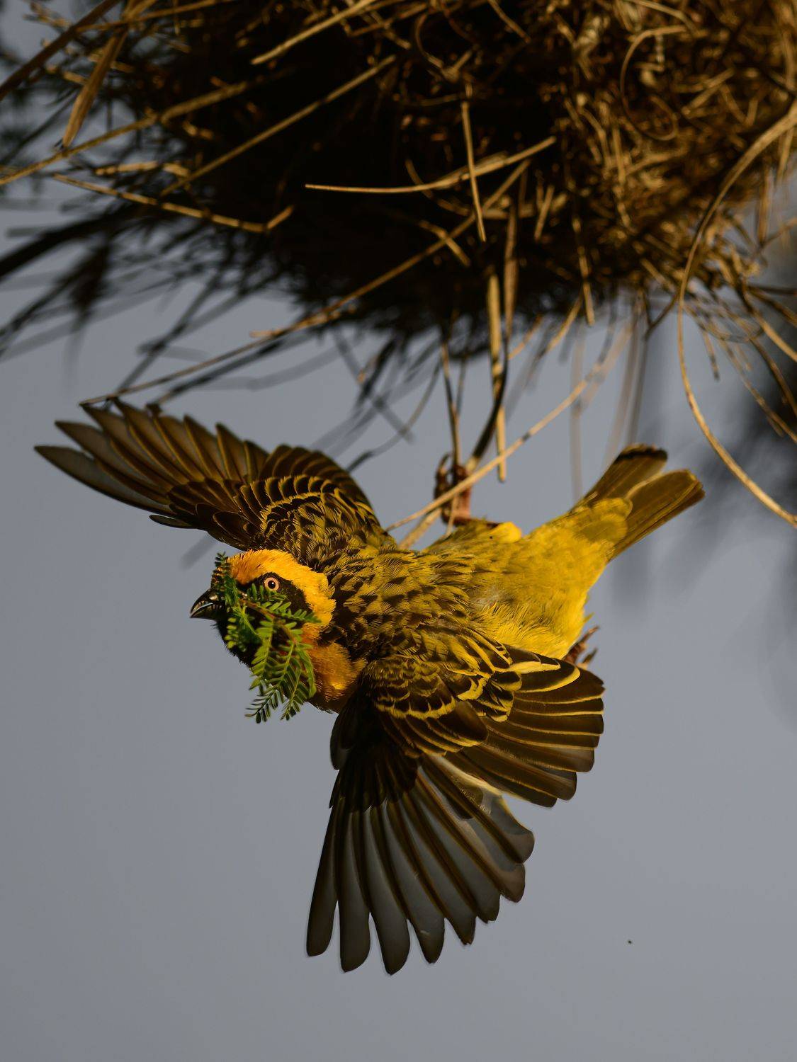 , Пупонин Сергей