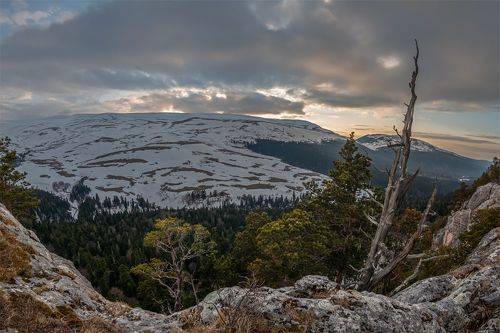 На плато Лаго-Наки