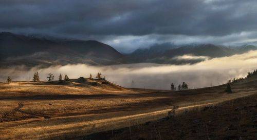 Рассвет в Курайской степи
