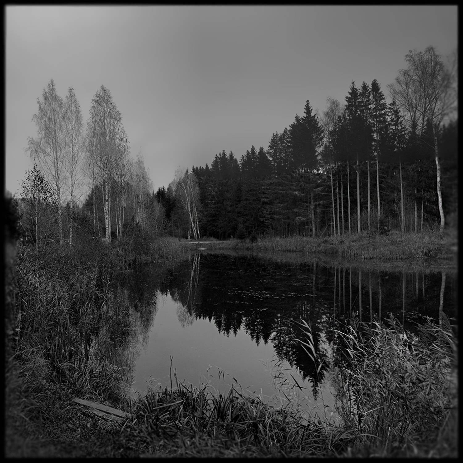 , Тарасов Алексей