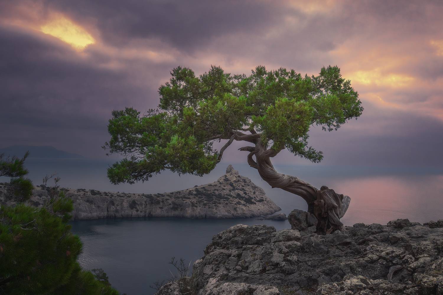 , Костенко Александр