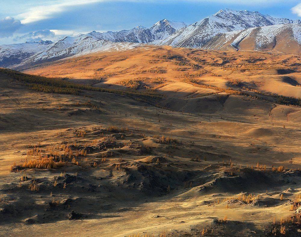 , Андрей Ершов