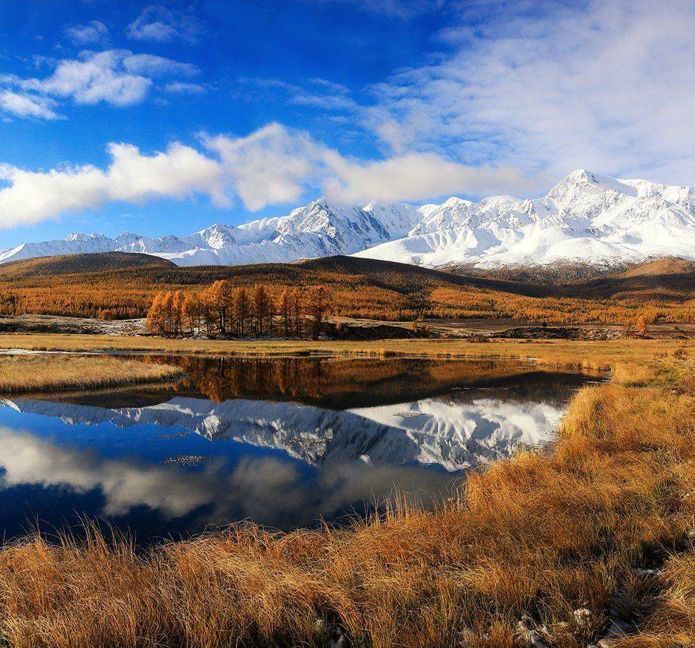 , Андрей Ершов