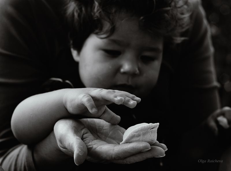 Лев  фото превью