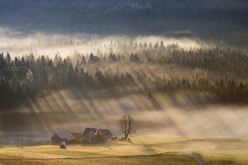 Mountain hut on the edge of a forest