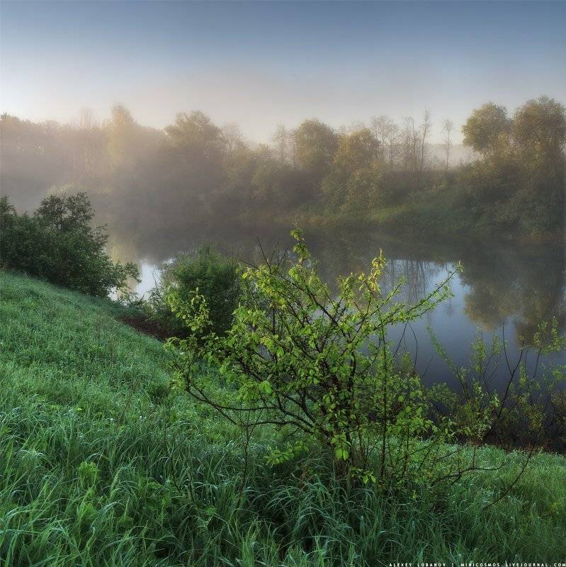 Соть, Ярославская область, Алексей Лобанов