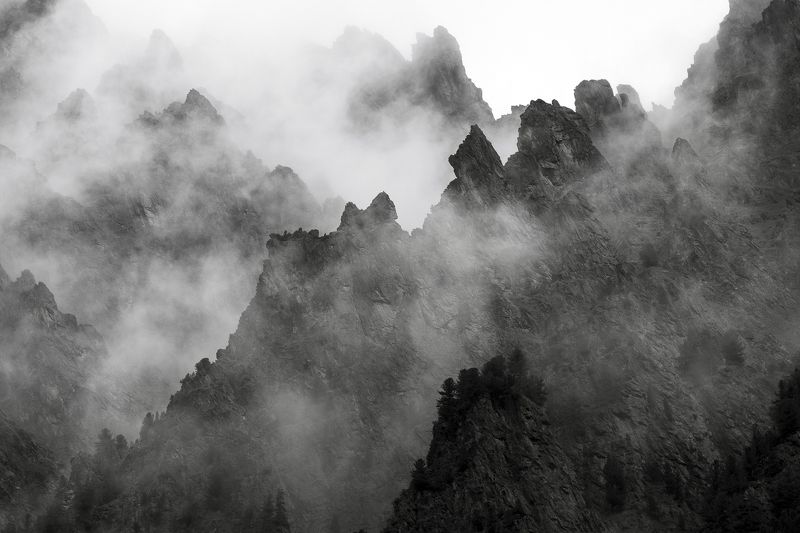 алтай  фото превью