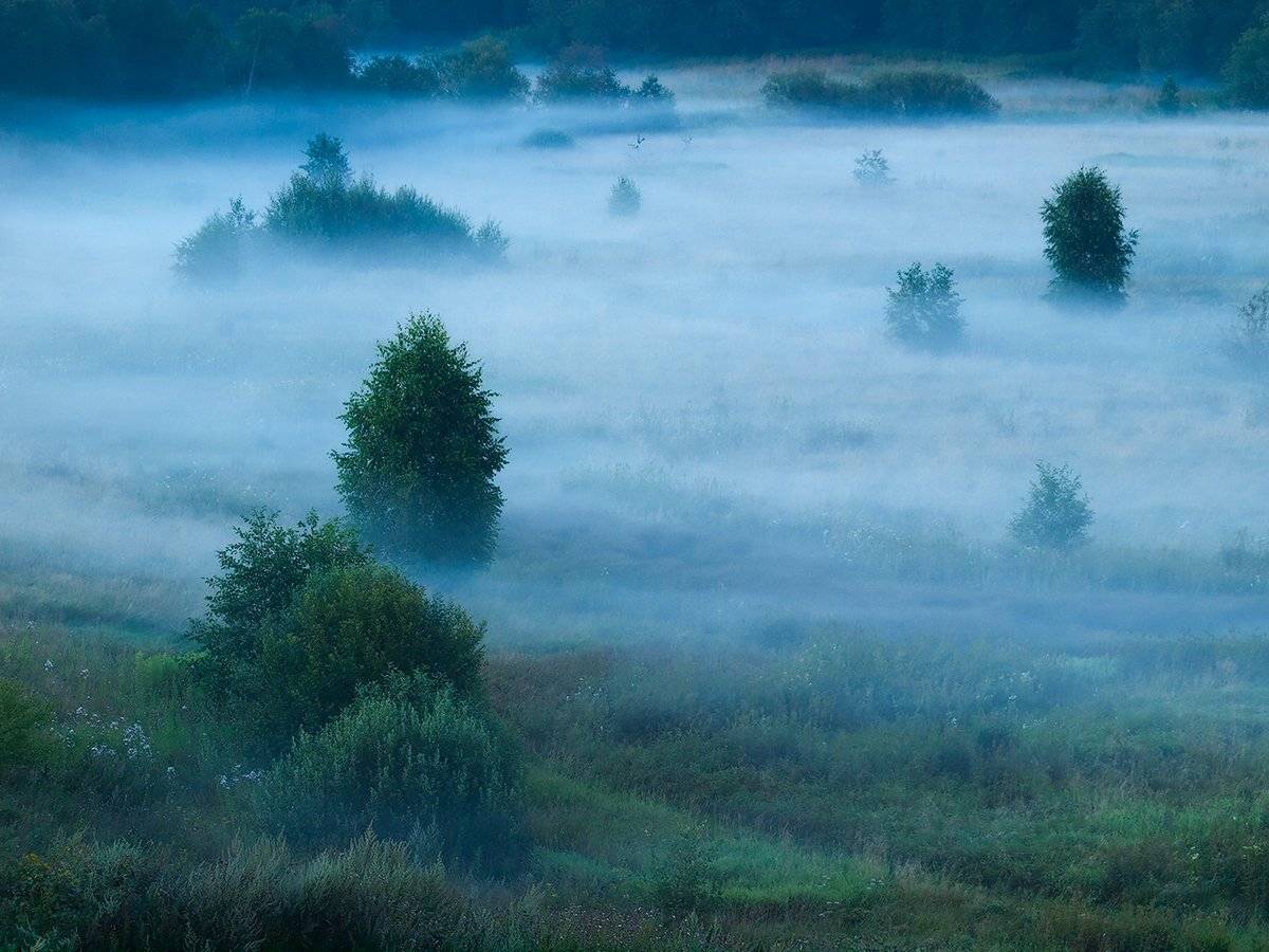 , Владимир Перепечаев