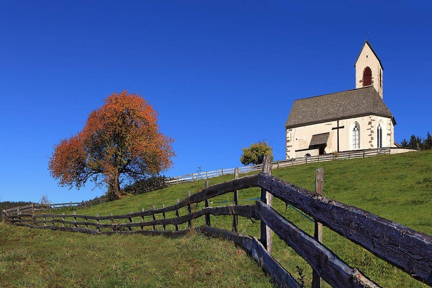 , Игорь Дубровский